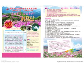 井冈山杜鹃花节三日游海报宣传单
