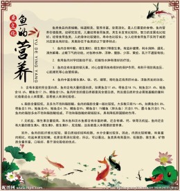 鱼文化展板之鱼的营养