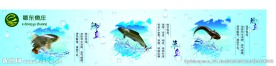 鱼庄围墙之鲫鱼草鱼鲶鱼