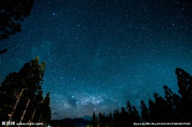 森林星空