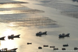 霞浦滩涂