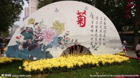 菊花展