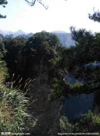 张家界森林公园
