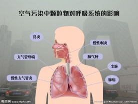 空气污染中颗粒物对呼吸系统影响