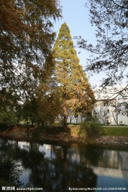 上海交通大学