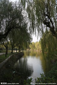 上海交通大学