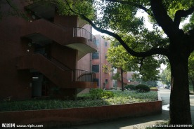 上海交通大学