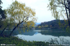 公园湖景