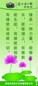 素食文化标语