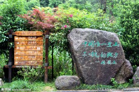 景区指示牌