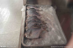 海鲜超市鱼高清