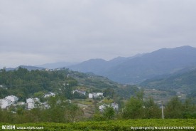 田原风光