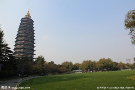 常州红梅公园