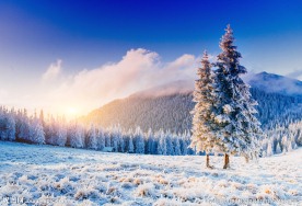 祖山雪景