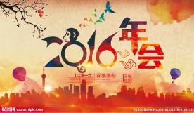 2016年会