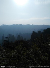 张家界森林公园