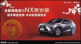 雷克萨斯NX贺岁版