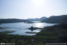 夕阳田野