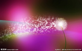 蒲公英光效图