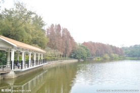 麓湖公园 广州
