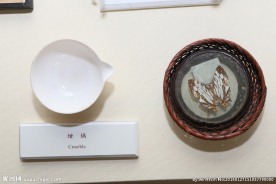 标本