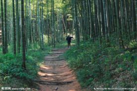 竹林小道