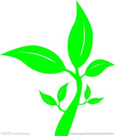 树枝树叶