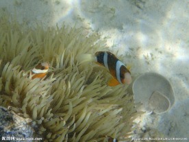 长滩岛海底世界