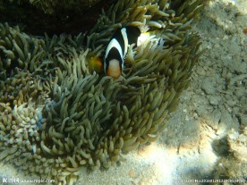 长滩岛海底世界