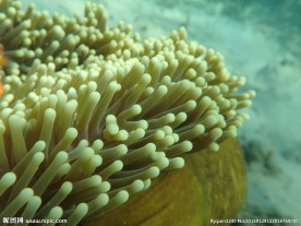 长滩岛海底世界