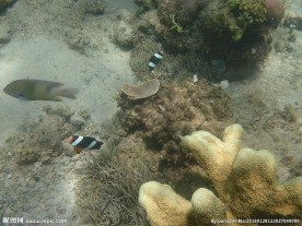 长滩岛海底世界