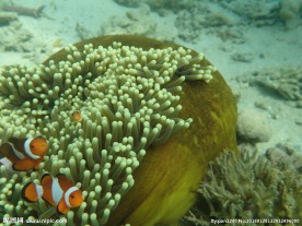 长滩岛海底世界