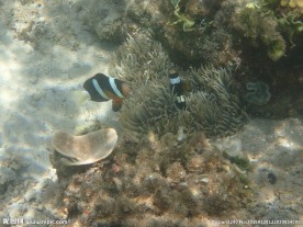 长滩岛海底世界