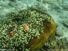 长滩岛海底世界