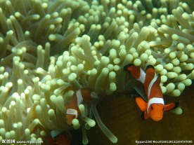 长滩岛海底世界