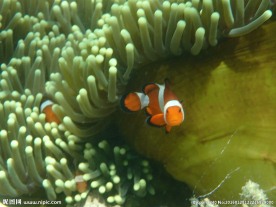 长滩岛海底世界