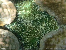 长滩岛海底世界