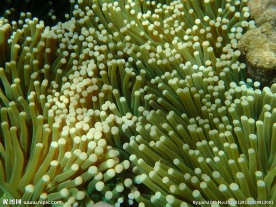 长滩岛海底世界