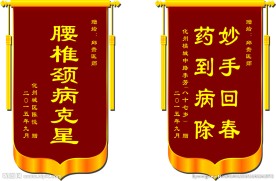 锦旗模板 妙手回春 药到病除