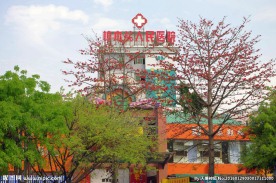 人民医院 医院楼景