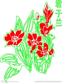 矢量花