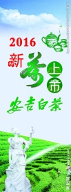 2016新茶上市安吉白茶