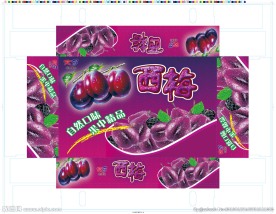 西梅盒子