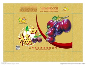 西梅盖子