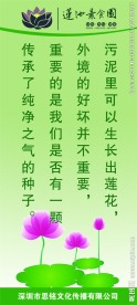 素食文化标语