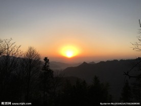 夕阳红