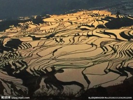 元阳梯田