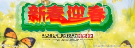 新春迎春