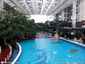 空中花园室内泳池