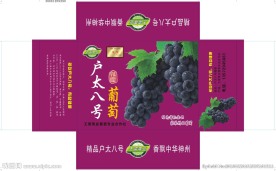 户太八号葡萄
